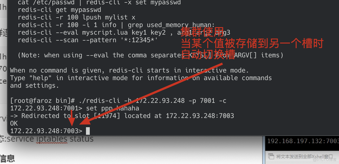 redis客户端设置编码redis面试必会6题经典-第2张图片-太平洋在线下载