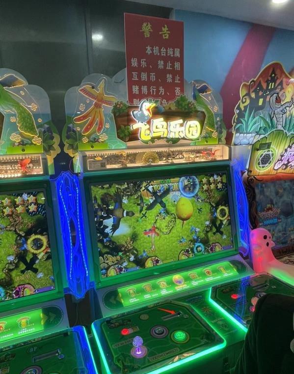 菜鸡飞鸟下载手机版菜鸟下载电脑版app-第2张图片-太平洋在线下载