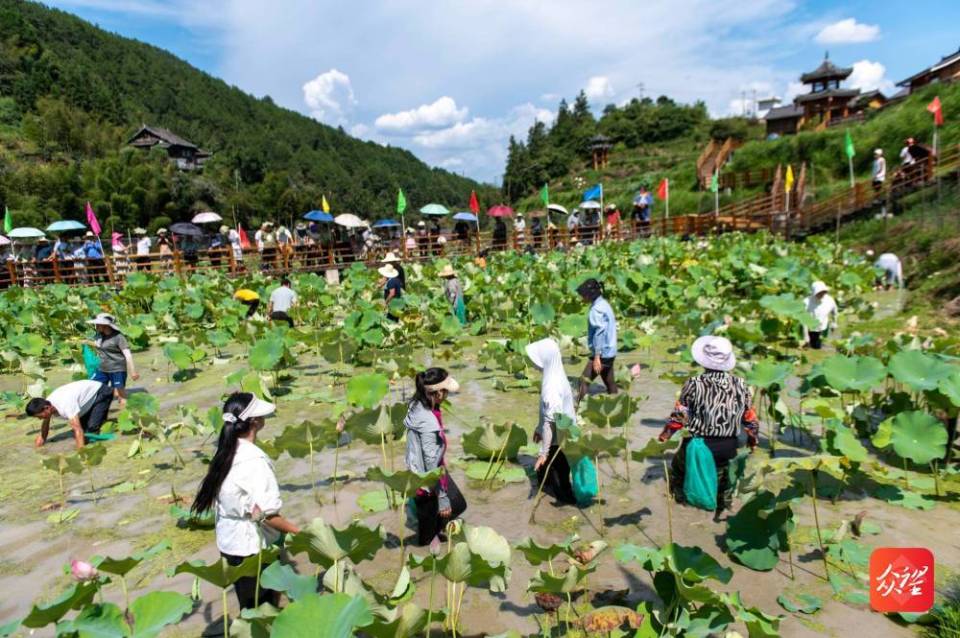 客户端众望新闻客美国接力不负众望交接棒再次失误-第2张图片-太平洋在线下载